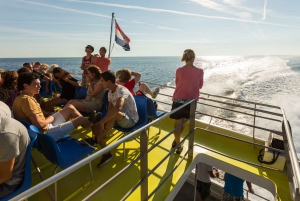 Från Umag: Båttur till Venedig med dag eller enkel resa