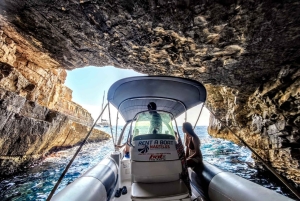 From Vis: Speedboat tour - Vis, Biševo & Blue Cave (shared)