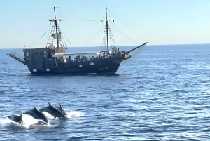 From Vrsar: Boat Trip to Rovinj and Lim Fjord