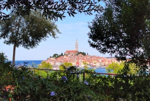 From Vrsar: Lim Bay, Pirate Cave and Rovinj Visit