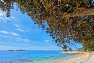 From Vrsar: Lim Bay, Pirate Cave and Rovinj Visit