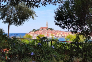 From Vrsar: Lim Bay, Pirate Cave and Rovinj Visit