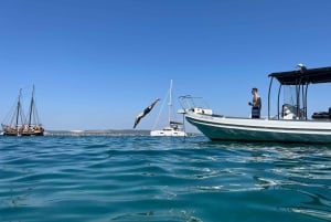 From Zadar: 3 magical stops with a cold drink