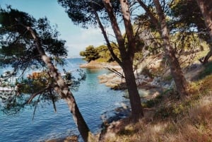 Zadar: Island cruise with drinks, snorkeling and kayaking