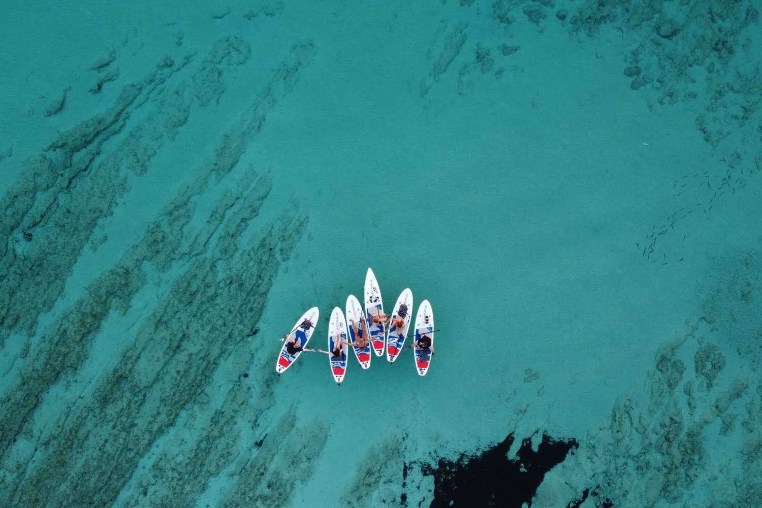 Da Zara: Tour guidato in paddle board a Dugi Otok