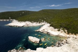 From Zadar: Dugi Otok Half-Day Kayak Adventure