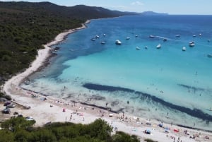 From Zadar: Full-Day Boat Trip to Sakarun Beach & Dugi Otok