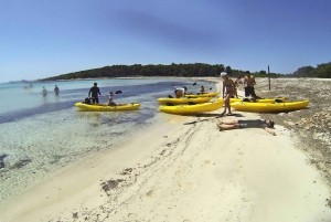 Desde Zadar: tour de 1 día en kayak a isla Dugi