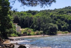 Desde Zadar: Tour de medio día por las islas de Ugljan, Ošljak