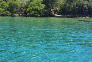 Da Zara: tour in barca alle isole con bevande
