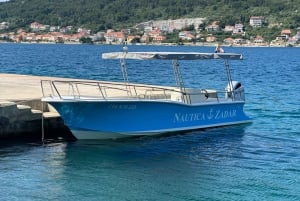 Fra Zadar: Ø-hoppende speedbådstur med drinks