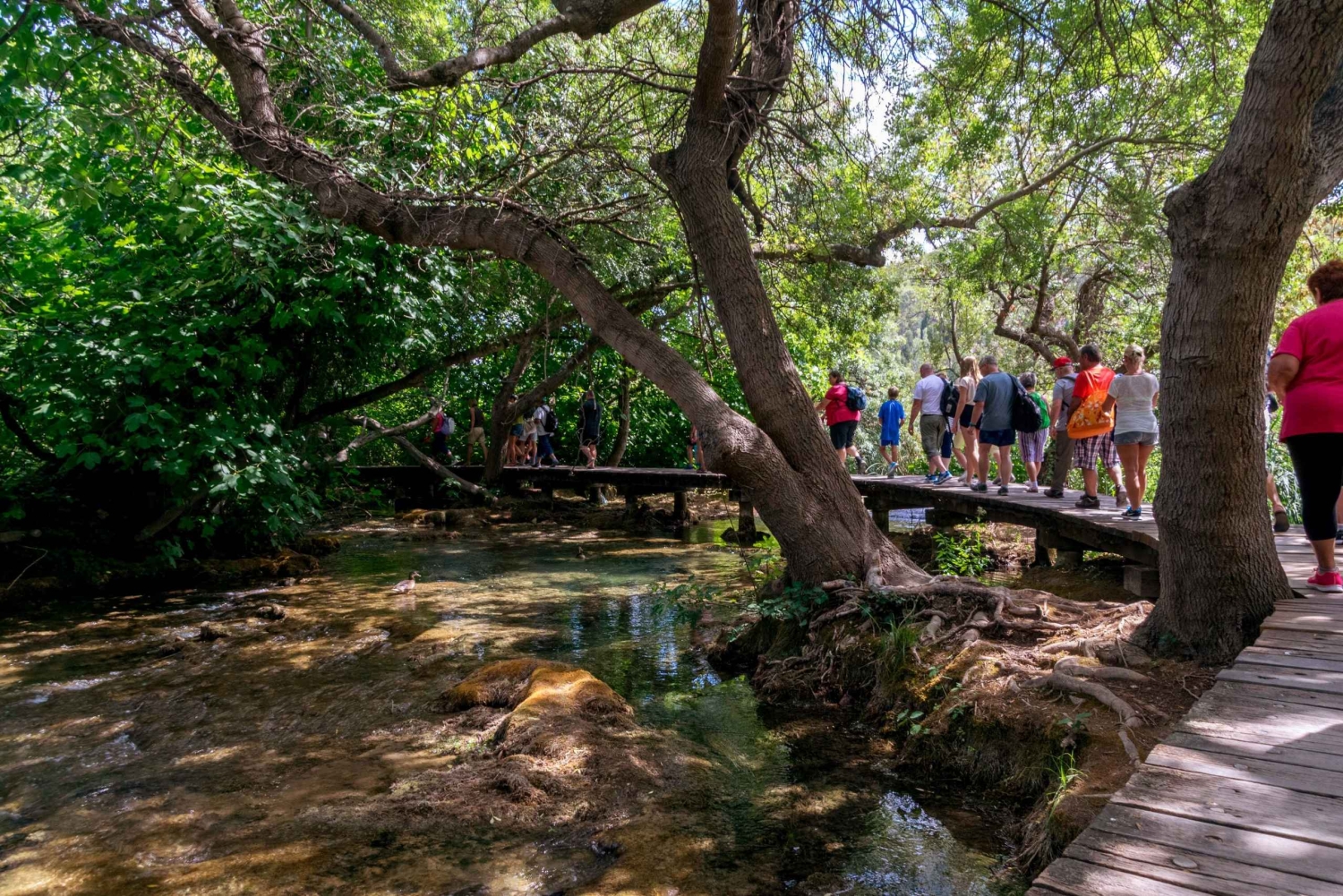 Ab Zadar: Nationalpark Krka und Wasserfälle