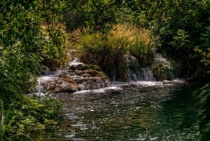 Da Zara: Escursione di un giorno al Parco Nazionale di Krka e alle cascate