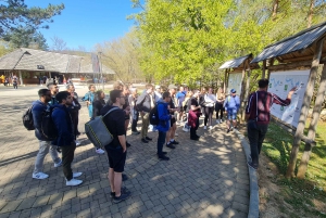 From Zadar: Plitvice Lakes Day Tour with Boat Ride