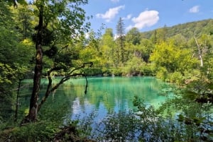 Da Zara: Tour di un giorno sui laghi di Plitvice con giro in barca