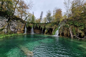 From Zadar: Plitvice Lakes Day Trip with Panoramic Boat Ride