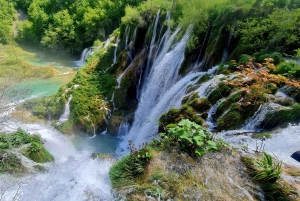 Fra Zadar: dagstur til Plitvice-innsjøene med guide og båttur