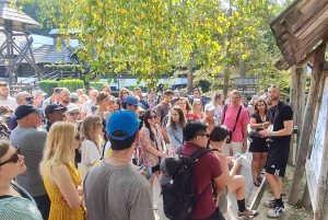 Fra Zadar: dagstur til Plitvice-innsjøene med guide og båttur