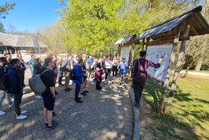 Fra Zadar: dagstur til Plitvice-innsjøene med guide og båttur