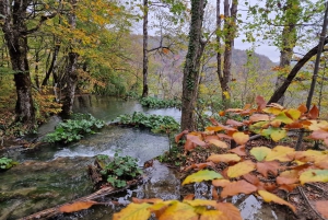 Fra Zadar: dagstur til Plitvice-innsjøene med guide og båttur