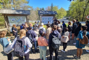 Fra Zadar: dagstur til Plitvice-innsjøene med guide og båttur