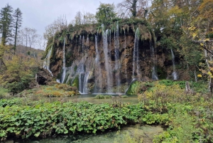 Fra Zadar: dagstur til Plitvice-innsjøene med guide og båttur