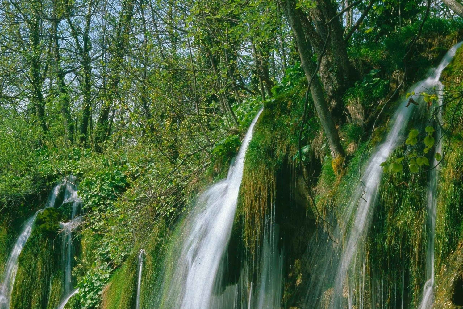 ザダル発：プリトヴィツェ湖群国立公園ガイド付き1日ツアーとボートツアー