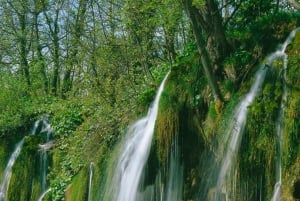 Z Zadaru: wycieczka 1-dniowa z przewodnikiem po Jeziorach Plitwickich i rejs