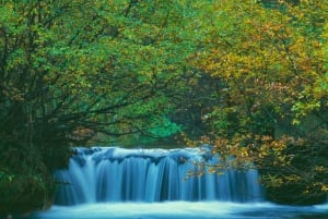 Z Zadaru: wycieczka 1-dniowa z przewodnikiem po Jeziorach Plitwickich i rejs