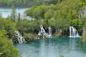 Z Zadaru: wycieczka 1-dniowa z przewodnikiem po Jeziorach Plitwickich i rejs