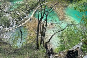 Z Zadaru: wycieczka 1-dniowa z przewodnikiem po Jeziorach Plitwickich i rejs