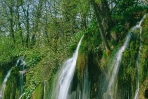 ザダル発：プリトヴィツェ湖群国立公園ガイド付き1日ツアーとボートツアー