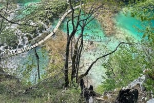 ザダル発：プリトヴィツェ湖群国立公園ガイド付き1日ツアーとボートツアー