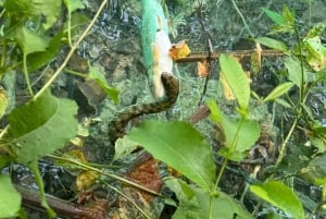 Från Zadar: Guidad tur till Plitvicesjöarna med båt och tåg