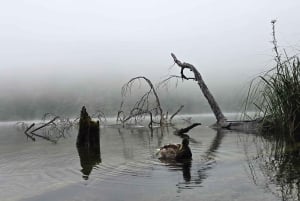 Från Zadar: Guidad tur till Plitvicesjöarna med båt och tåg