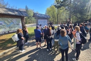 Från Zadar: Guidad tur till Plitvicesjöarna med båt och tåg