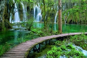 Zadarista: Plitvicen järvien kansallispuiston kiertoajelu