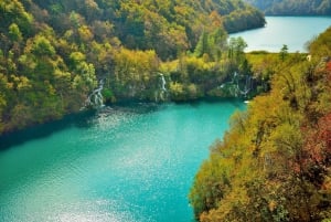 De Zadar: Excursão ao Parque Nacional dos Lagos Plitvice