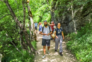 Zadar: Secrets of Plitvice National Park Guided Day Trip