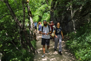 From Zadar: Round-Trip Transfer to Plitvice Lakes