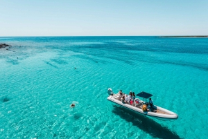 From Zadar: Sakarun Beach & Sunken Ship Snorkeling Tour