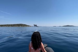Zadar: Luksuriøs speedbådtur til øerne med snorkling