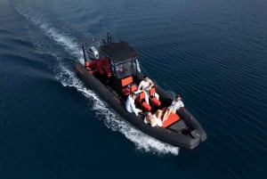 Zadar: Luksuriøs speedbådtur til øerne med snorkling