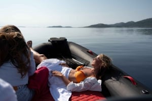 Zadar: Luksuriøs speedbådtur til øerne med snorkling