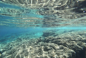 From Zadar: Full Day Sailing Tour