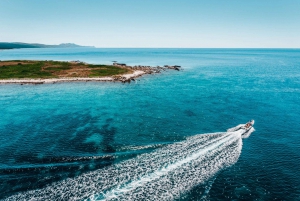 From Zadar: Ugljan & Molat Island Speedboat Snorkeling Trip