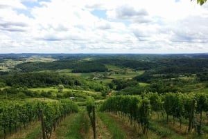 Desde Zagreb: Castillo de cuento de hadas, cata de vinos y almuerzo
