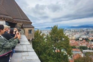 Z Zagrzebia: Lublana i jezioro Bled - 1-dniowa wycieczka minivanem