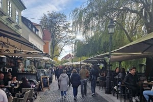 Da Zagabria: Tour privato di Lubiana e del Lago di Bled