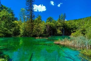 From Zagreb: Plitvice Lakes and Rastoke Private Day Trip